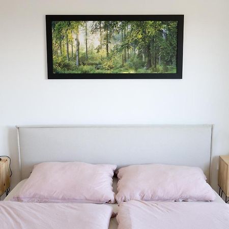 Apartman Na Kamenci Теплице-над-Метуи Экстерьер фото